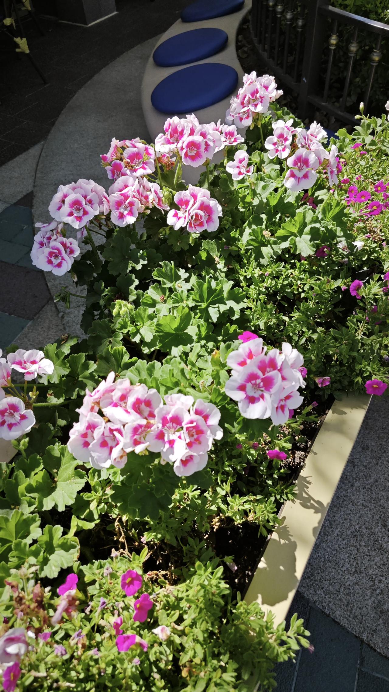 战略上藐视，战术上重视，放在股市里简直是顶级交易心法，太通透了
 
这句话原本是