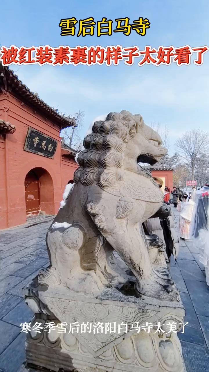 雪后白马寺被红装素裹的样子太好看了。
寒冬季雪后的洛阳白马寺太美了。