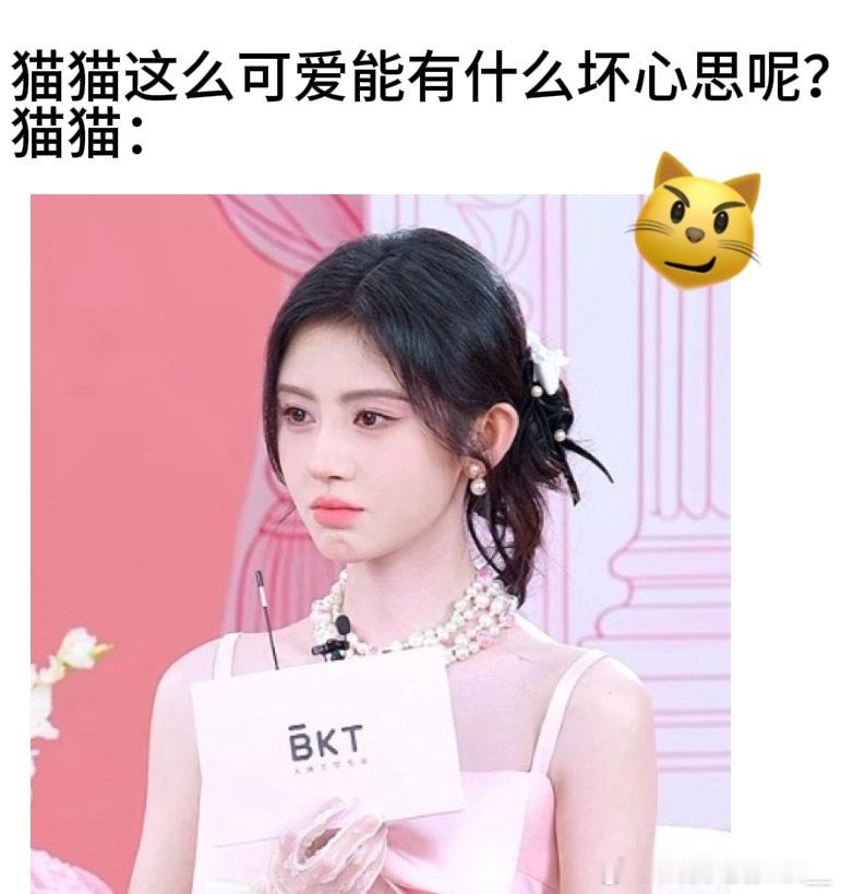 小猫包！ 