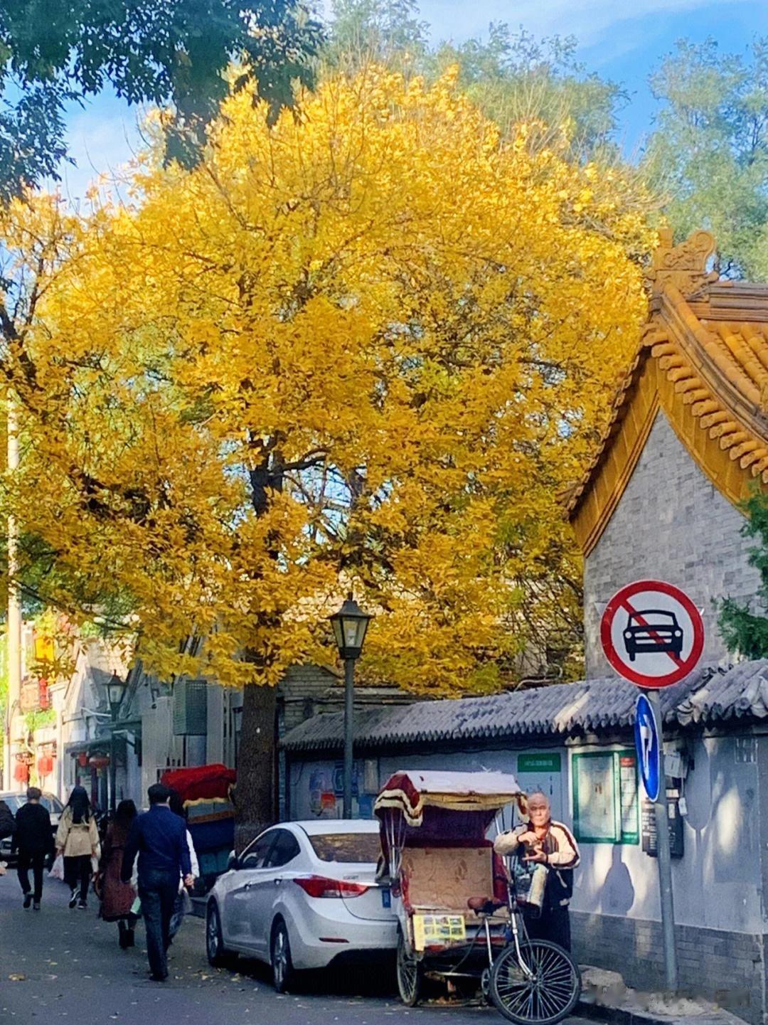 秋天的第一根糖葫芦，久违酸酸甜甜的口感，老旧的小卖店、门口晒着被单的四合院，马路