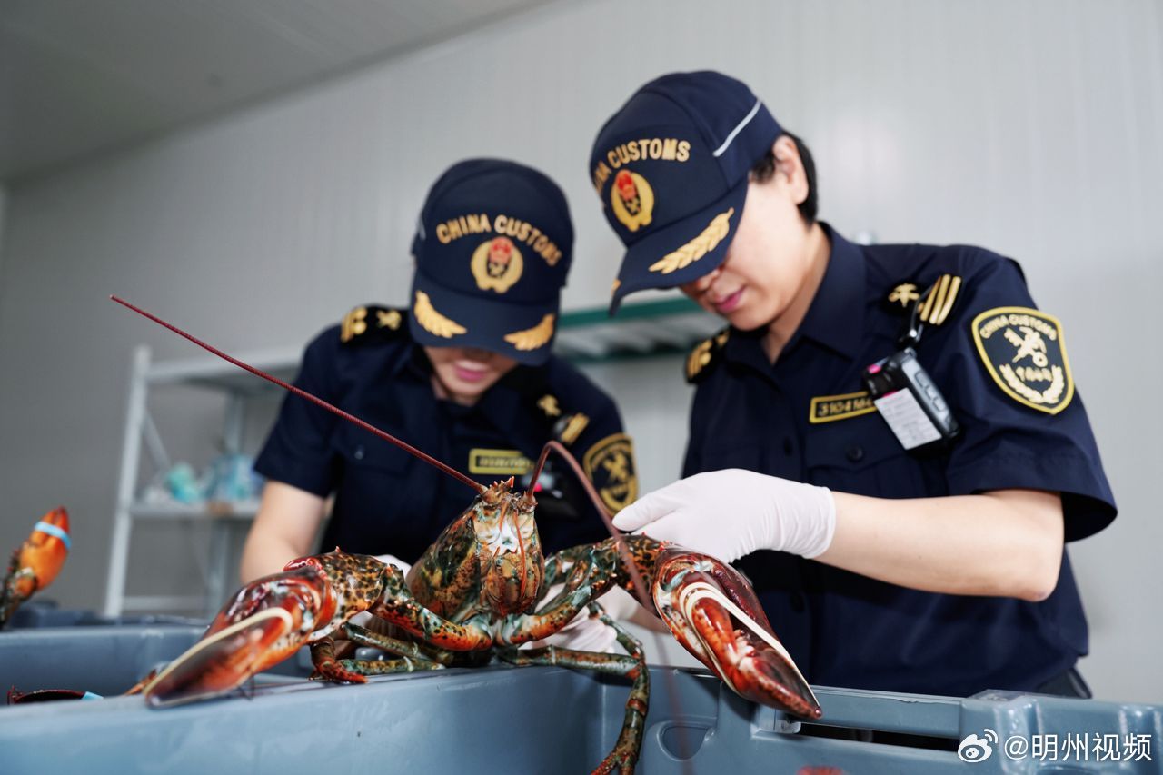 【休渔期鲜味不缺位，前5月宁波空中水产进口增长12.8倍 】宁波伏季休渔开启，空
