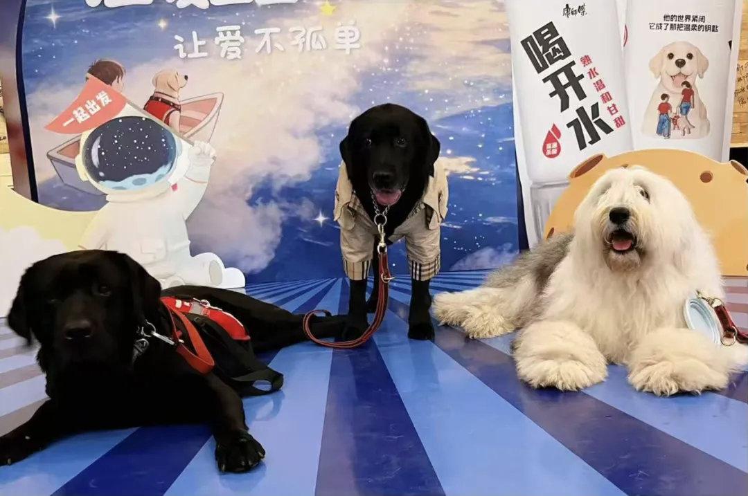 【用生命温暖生命，“星星的孩子”有了“毛孩子伙伴”】4月2日，一场“关爱同行，温