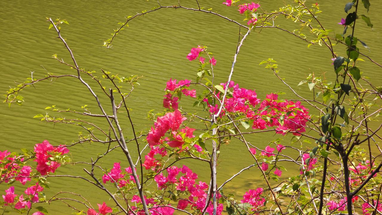 今天上老爸老妈那边，给他们买了八斤多肉馅，分成一份一份冻上了。老爸老妈爱吃饺子，