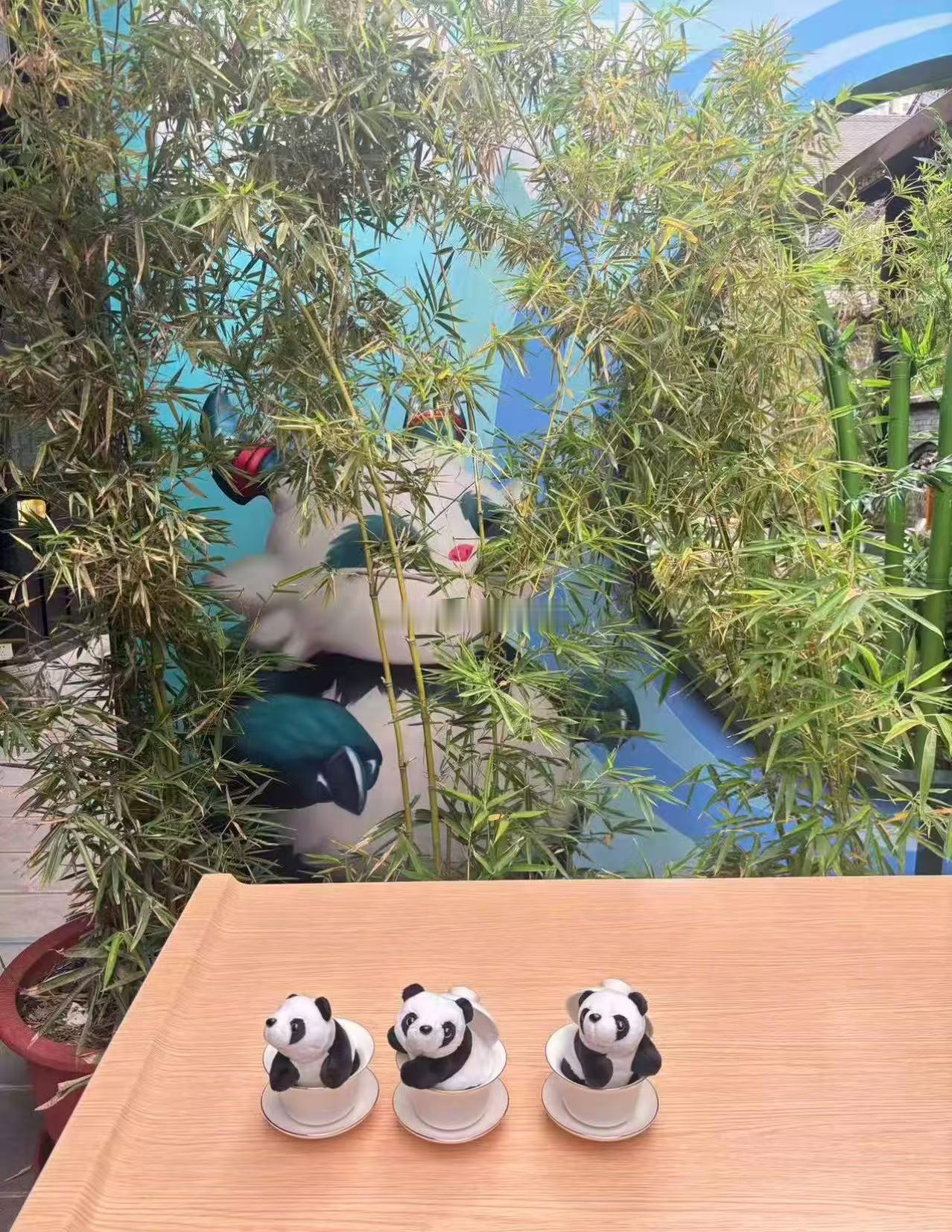 最有川味的棋盘出现了在茶馆下一种很新的棋 四川茶馆里的新花样太绝了！带着麻辣鲜香