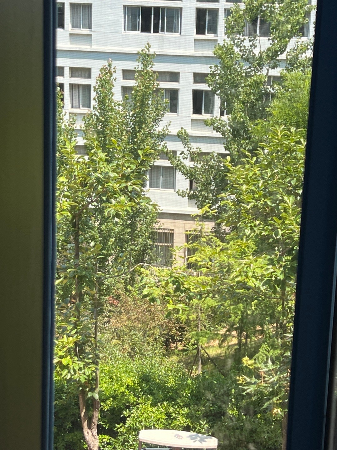 我在什么地方也是都喜欢靠窗的位置 除了🚾！这也太雷霆了