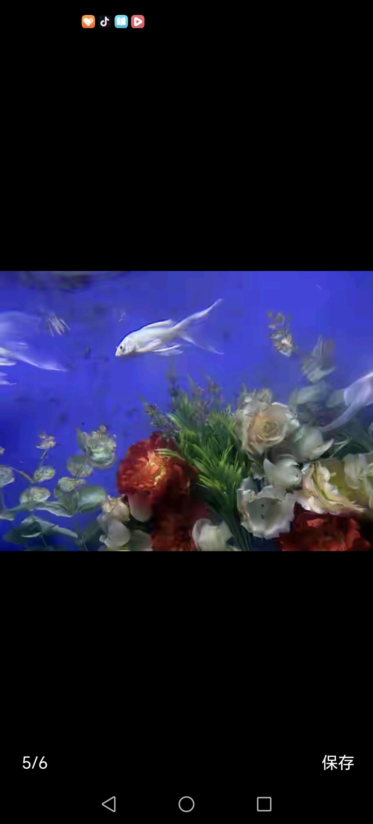 恩爱夫妻突然“假离婚”，看哭无数人：成年人的爱，全是身不由己

你敢信吗？

在