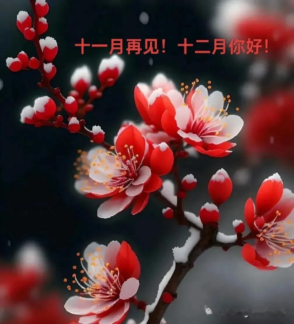 一岁年龄一岁心，匆匆岁月不由人。回首人间三分雪，化作银丝爬上头。
原来啊，在悠悠