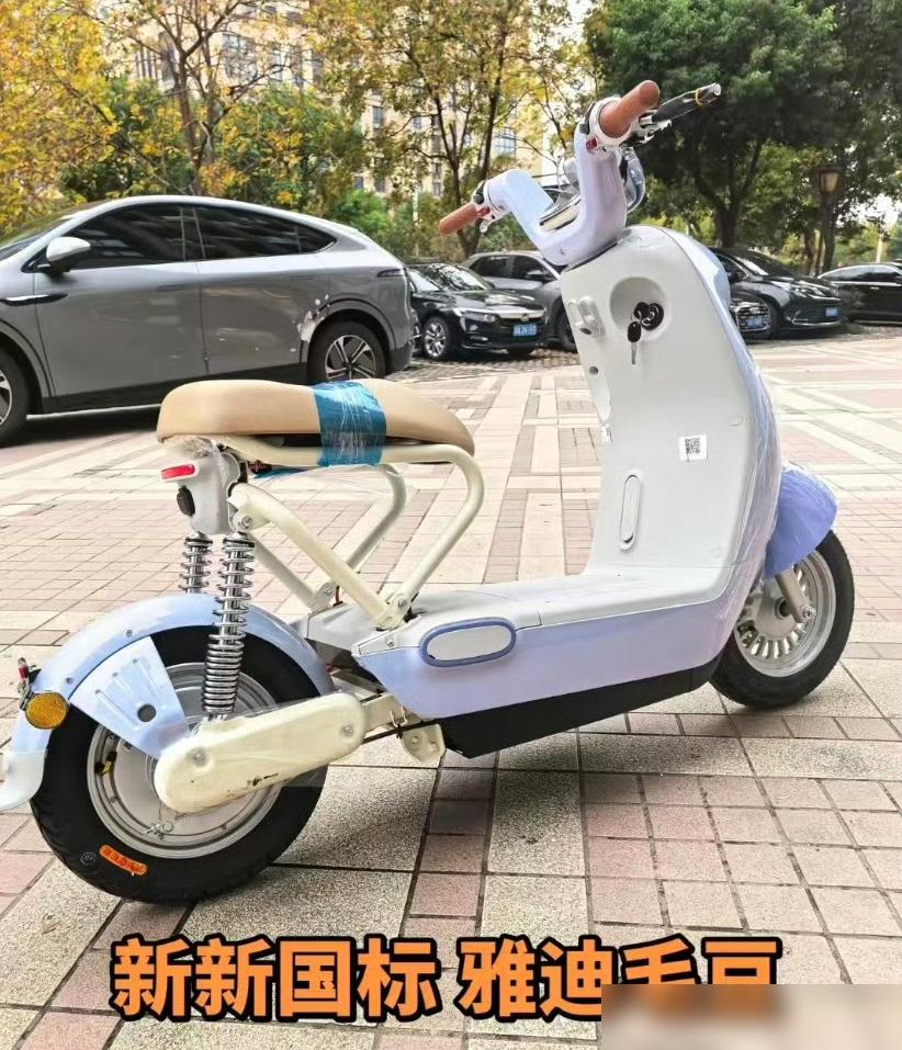 雅迪人手一辆
​
可新国标的雅迪电动车设计真的没法接受
​
1000元的电动车，