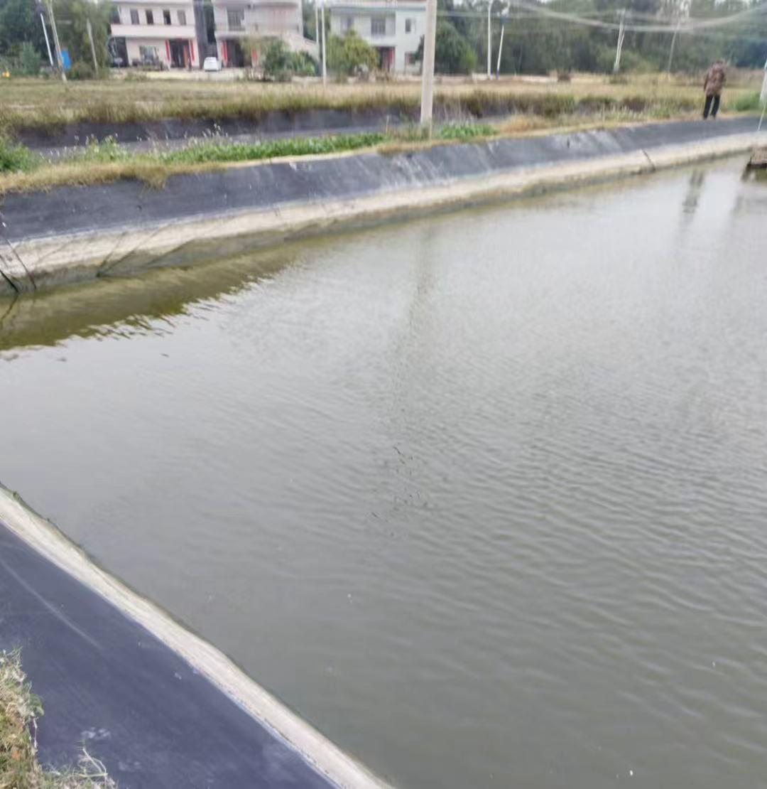 秦岭笑谈 【清涟科创润塘泽 点水成金助振兴】为响应党的二十届四中全会“科技赋能农