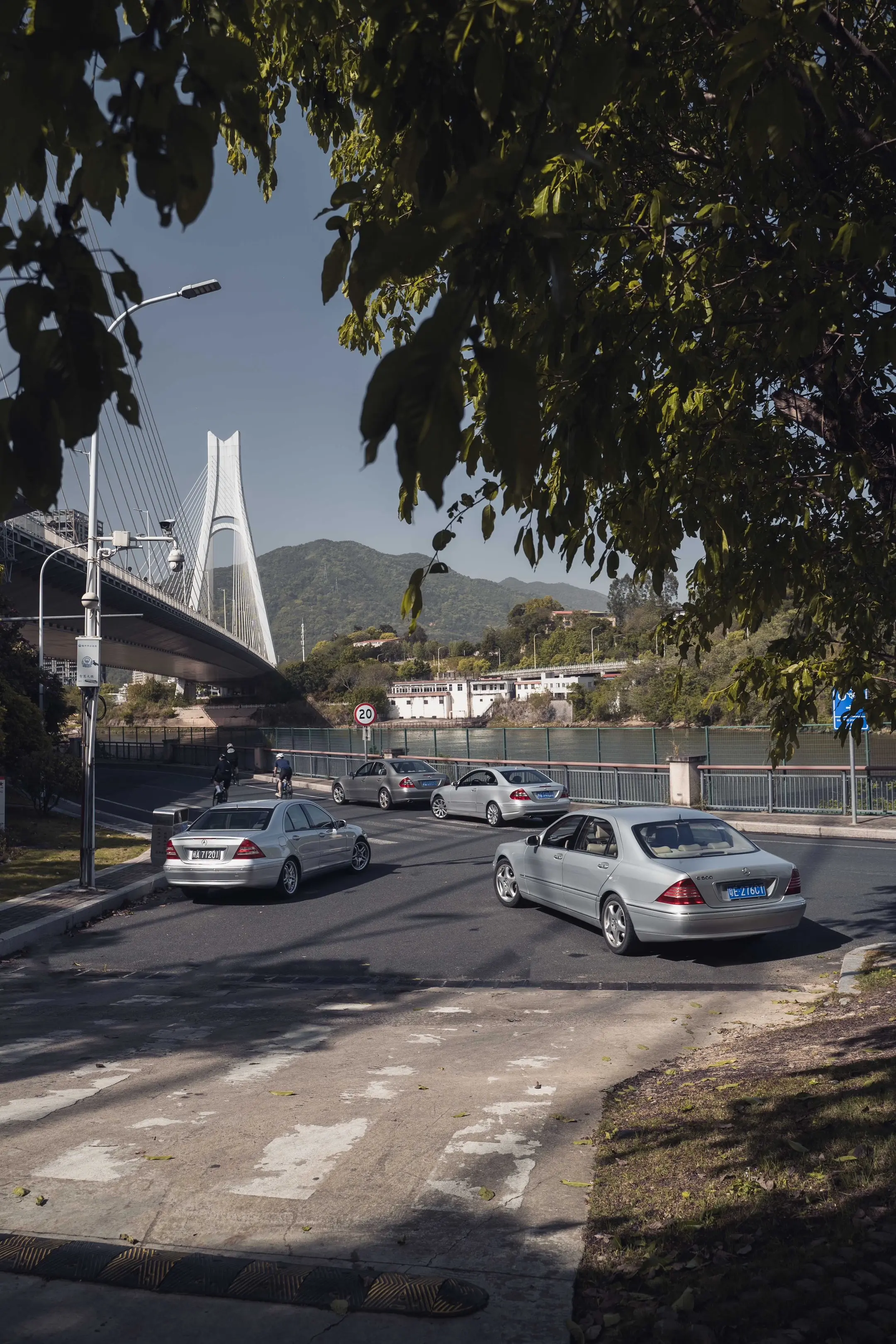 小C找到新朋友啦。