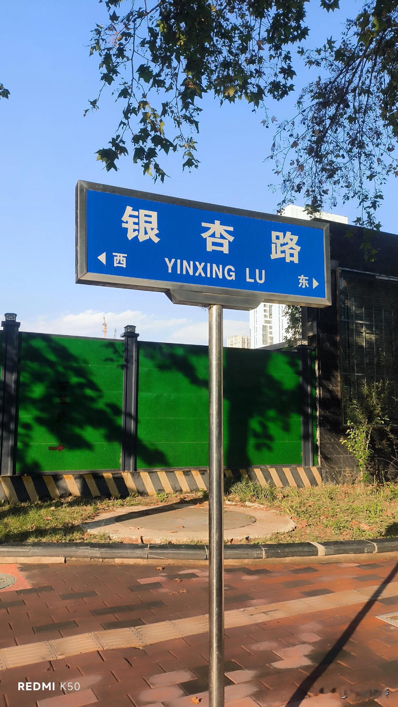 银杏路还没到最美的时候，但已经好看了

坐标，保定银杏路。霜降刚过，已值深秋。