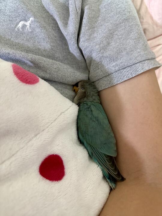 上辈子一定是情人