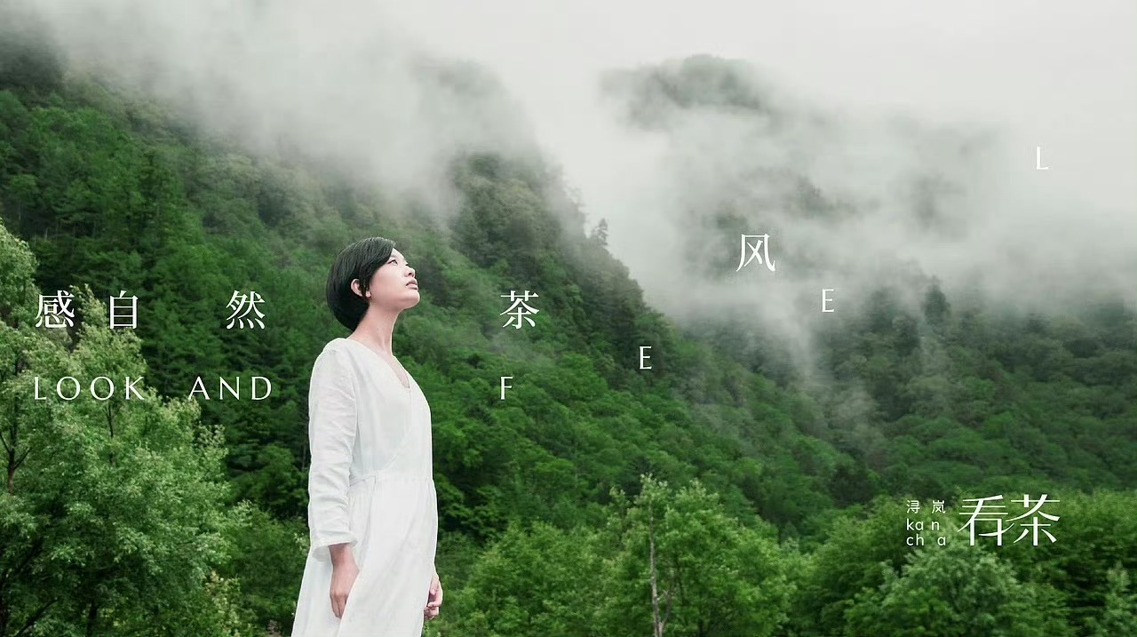 看茶  |  饮品品牌vi设计/审美积累 今日素材呀