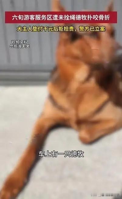 真不讲理！云南罗平，大年初五，女子一家在服务区休息，她60多岁的母亲散步时，一只