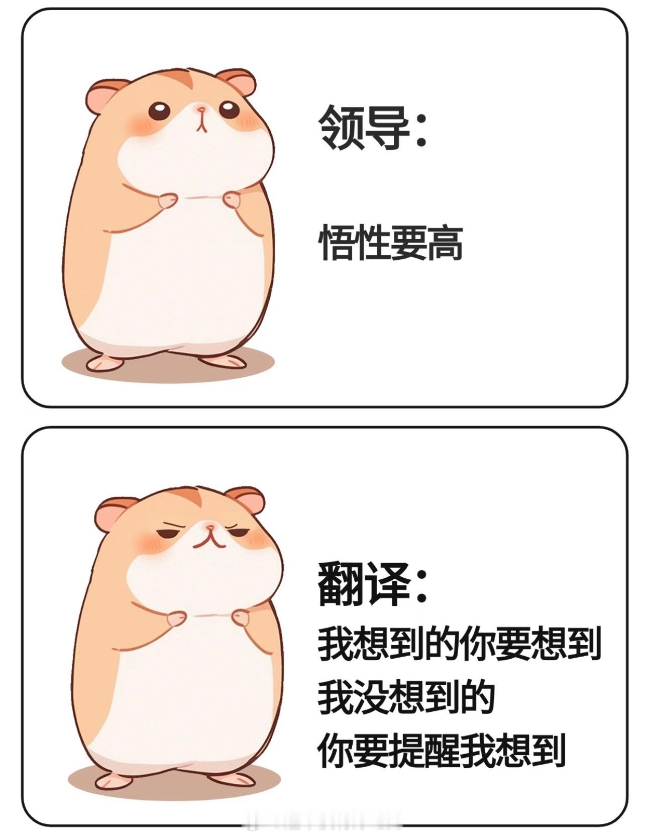 领导的眼神是自己研发的小语种职场最难学科，就是翻译领导的眼神一句话不肯明说，全靠