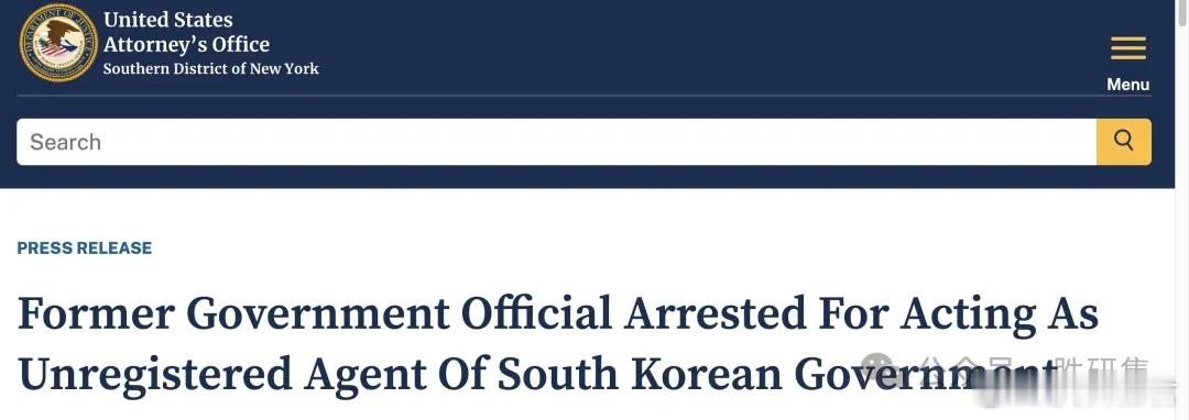 退役CIA美女分析师被指控为韩国间谍！日前，一名前中央情报局分析师被指控为韩国情