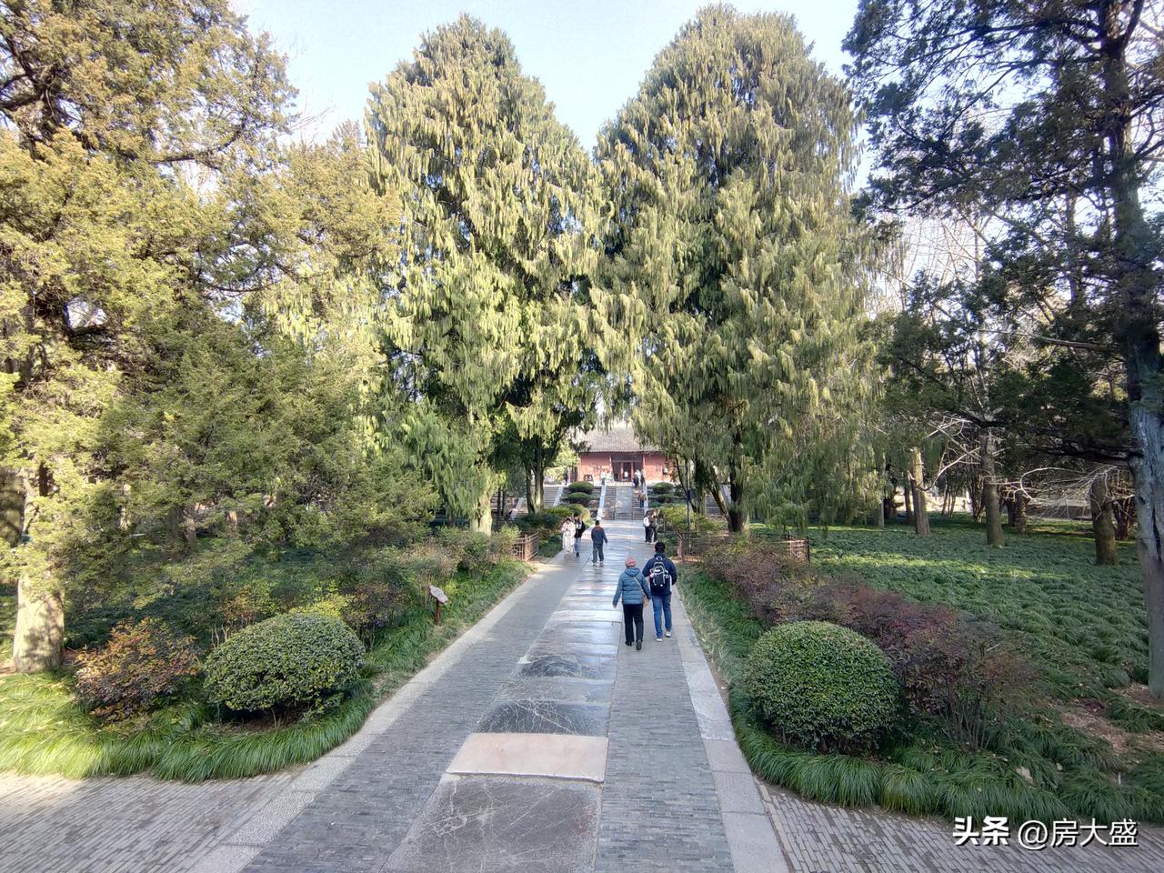 我绝对接受不了人狗同桌吃饭的餐厅！从卫生角度想，狗的唾液含沙门氏菌、弓形虫等病原