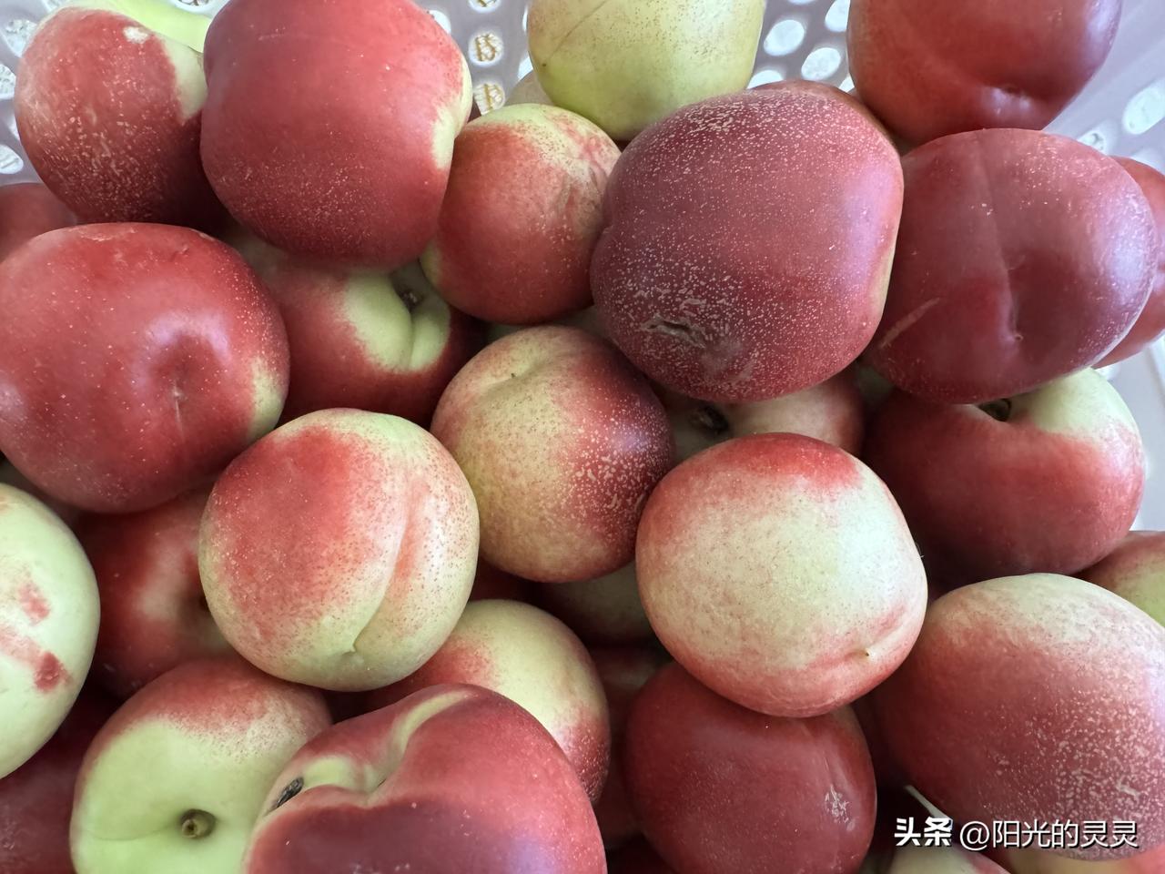 外甥寄来三箱子油桃。
天哪，简直太好了。两箱小个的，一箱大个儿的。小个儿的，脆，
