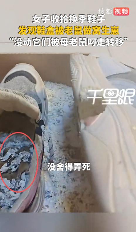 “解释不清了！”9月17日，江苏徐州，一女子见天气转凉，就给孩子找换季的鞋穿，打