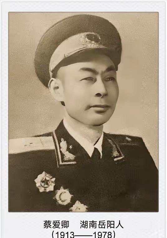 1943年，山西沁源，八路军把日军围困在炮楼里。为了打击敌人，29岁的蔡爱卿，带