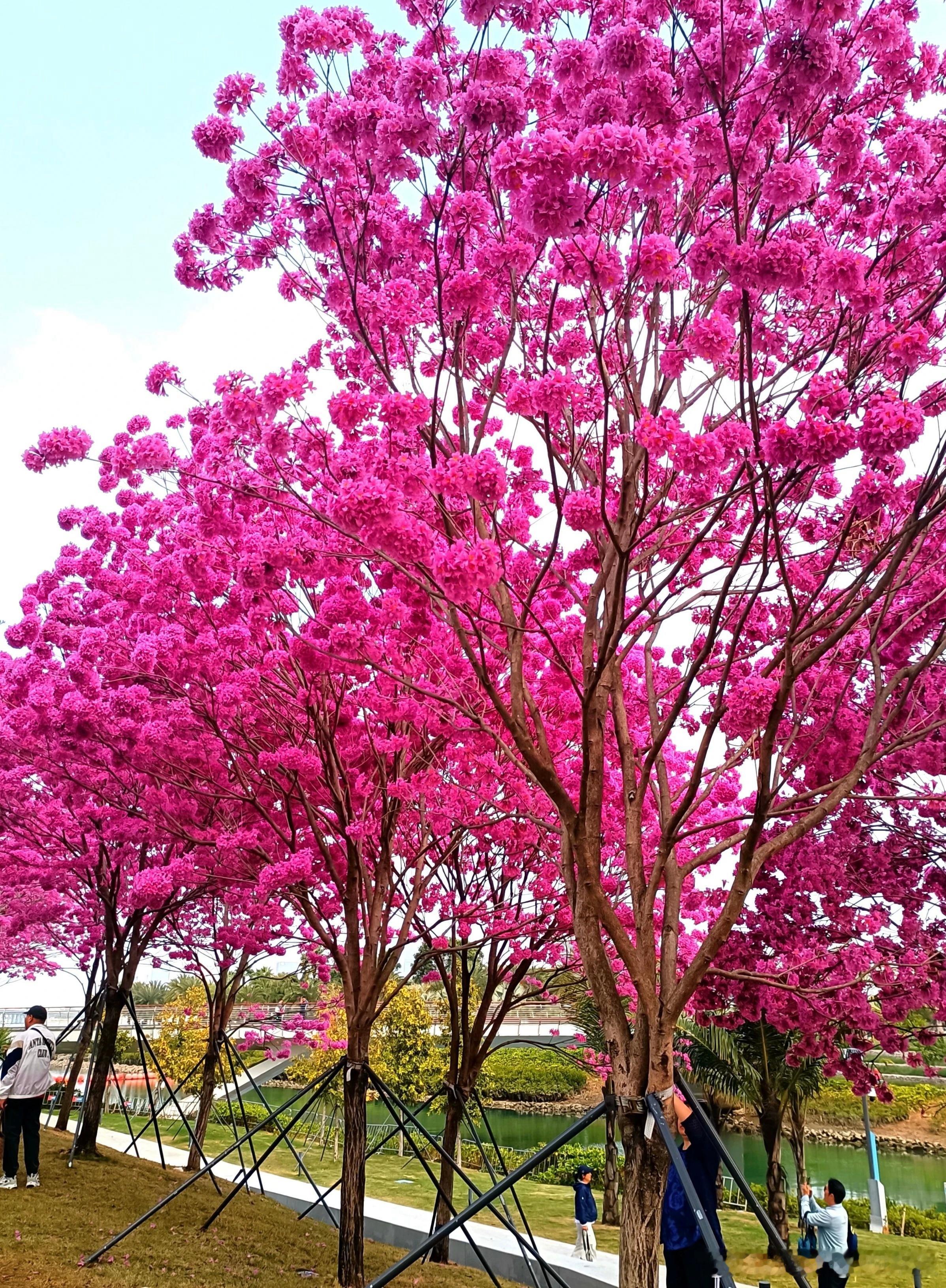 投资公司会动态调整尽调的重点，确保风险防控主要包括财务的隐患、法务的风险和管理方