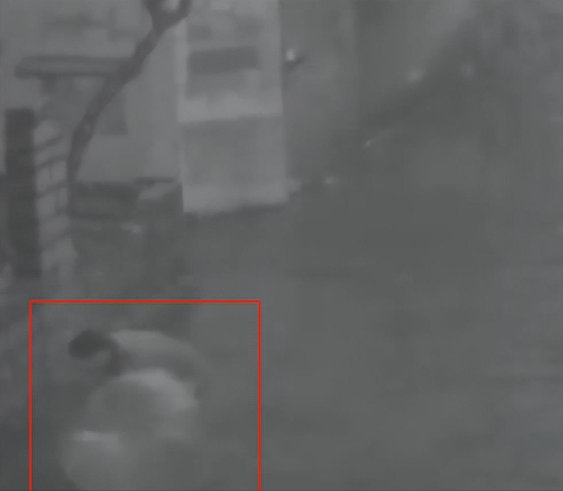 2013年冬天，1米5高的湖南富婆，被朋友硬生生塞入3米高的下水道，她把衣服逐一