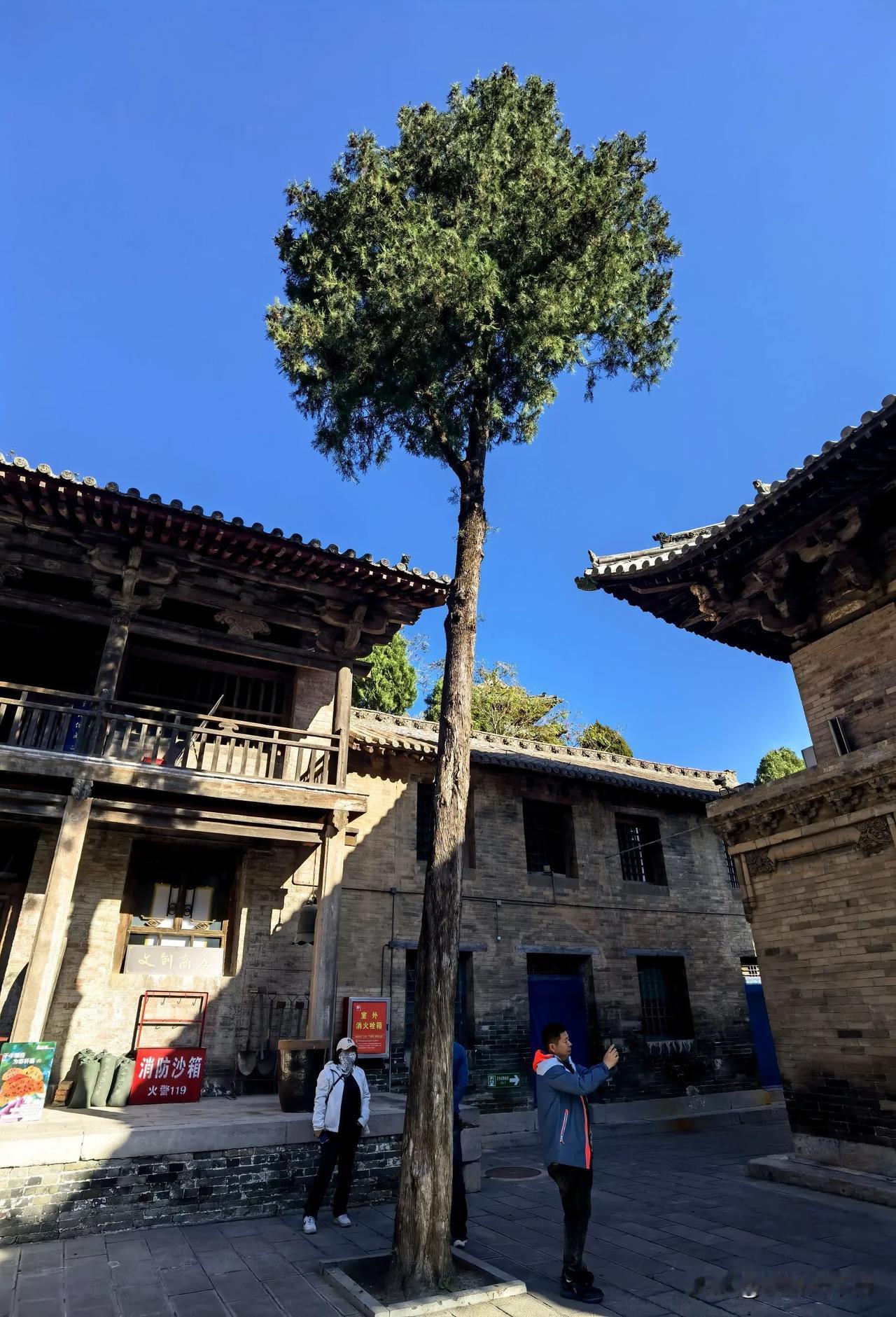 青莲寺，藏于深山之中的净土宗寺院，它远离吵杂的闹市，适合信徒们修行。
走了晋城几