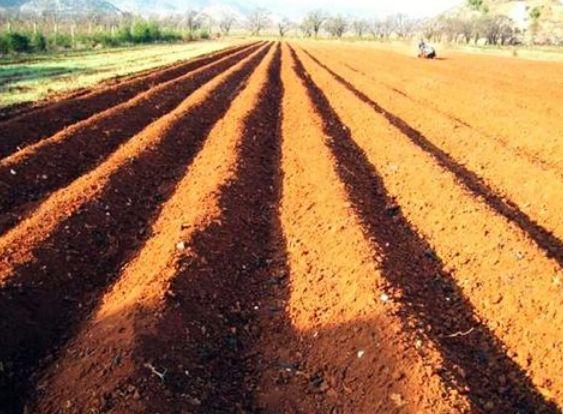 讲讲我们中华民族安身立命的农耕问题吧！

我们的老祖宗是从采集时代、狩猎时代逐渐