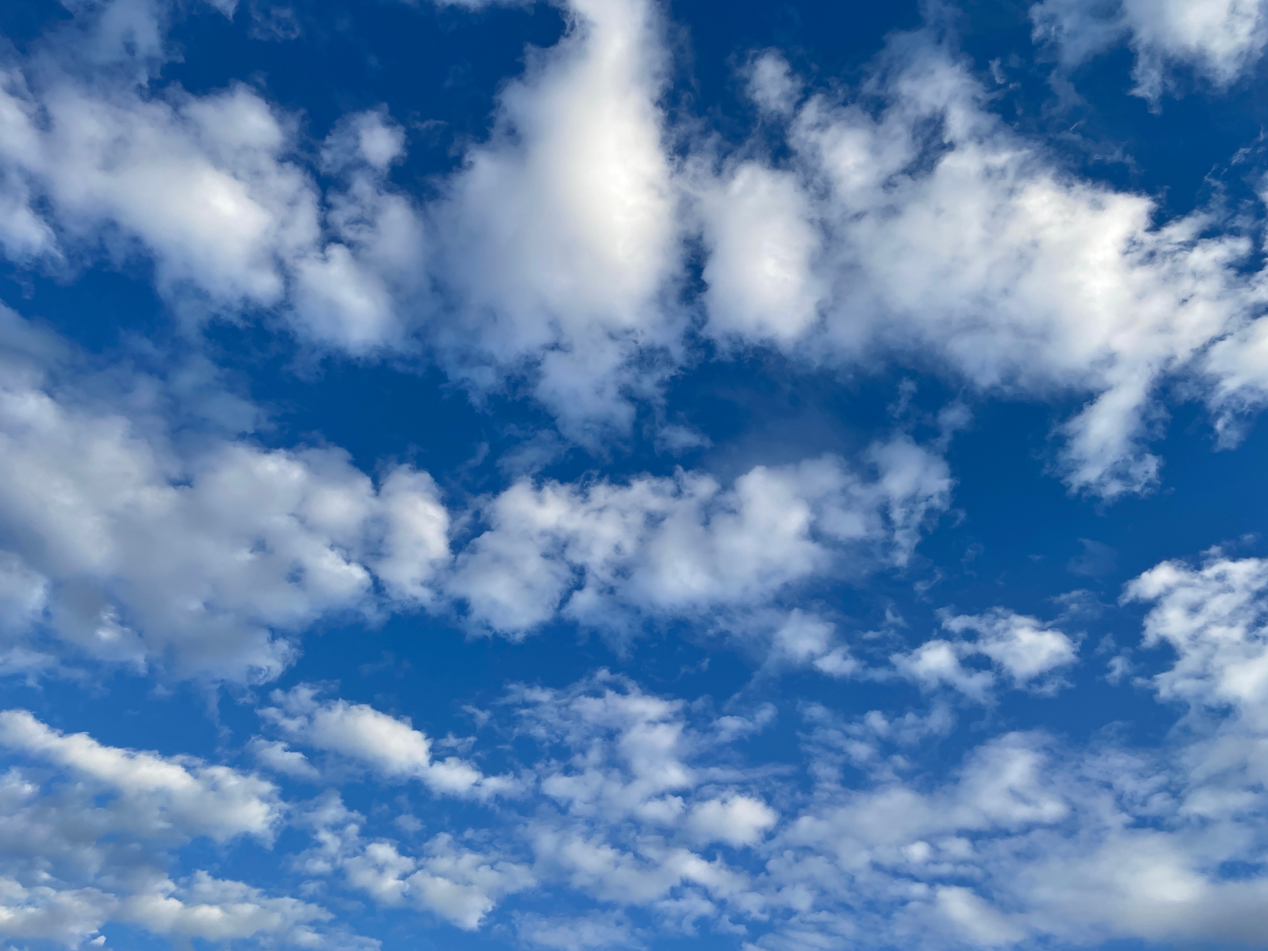 天空之美     “风有风的自由，云有云的温柔。”     “比起朝霞，晚霞总是