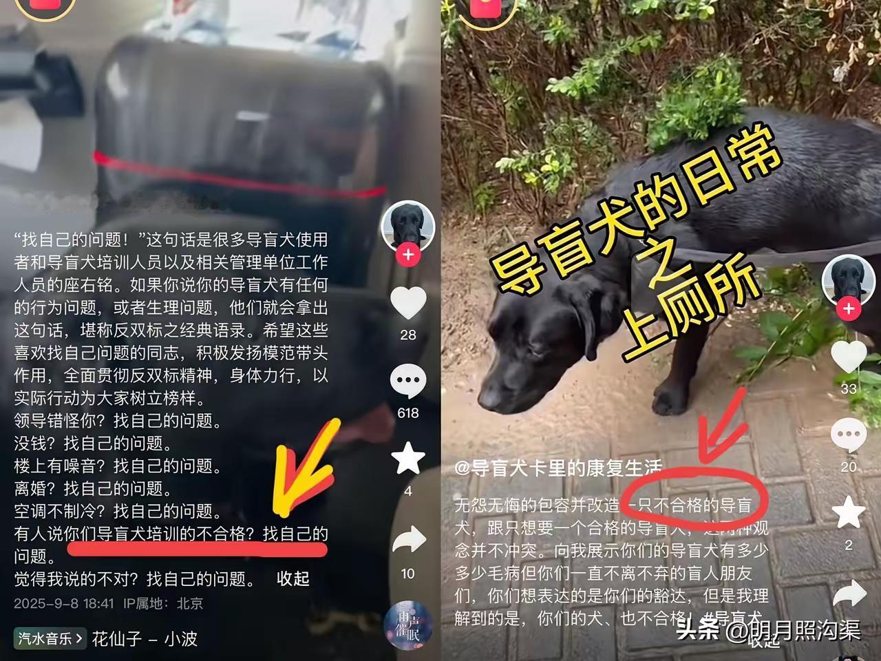 看了夜爬泰山盲人的采访，我忽然有点理解她了，当然，她心狠，不爱护导盲犬，大家骂她
