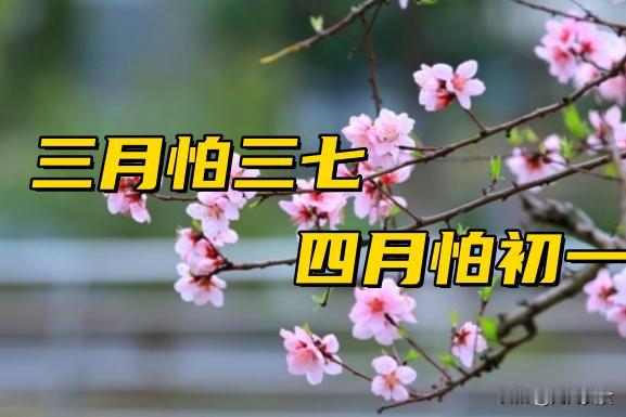 老话“三月怕初七，四月怕初一”，明日四月初一到底怕啥？看老人咋说？
 
民间老话