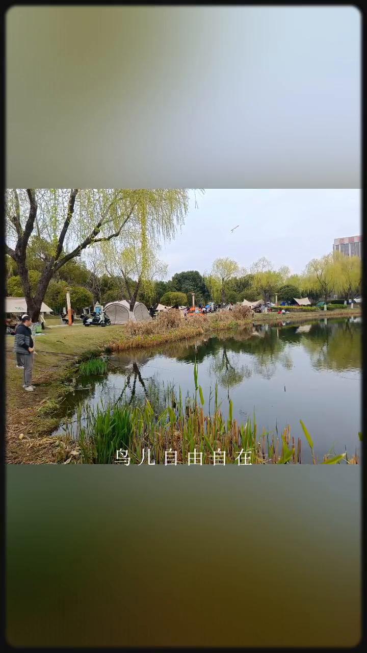 春日点歌台。
接下来为您献上春天花会开，我的爱，来玩一下吧。春天花会开，鸟儿自由