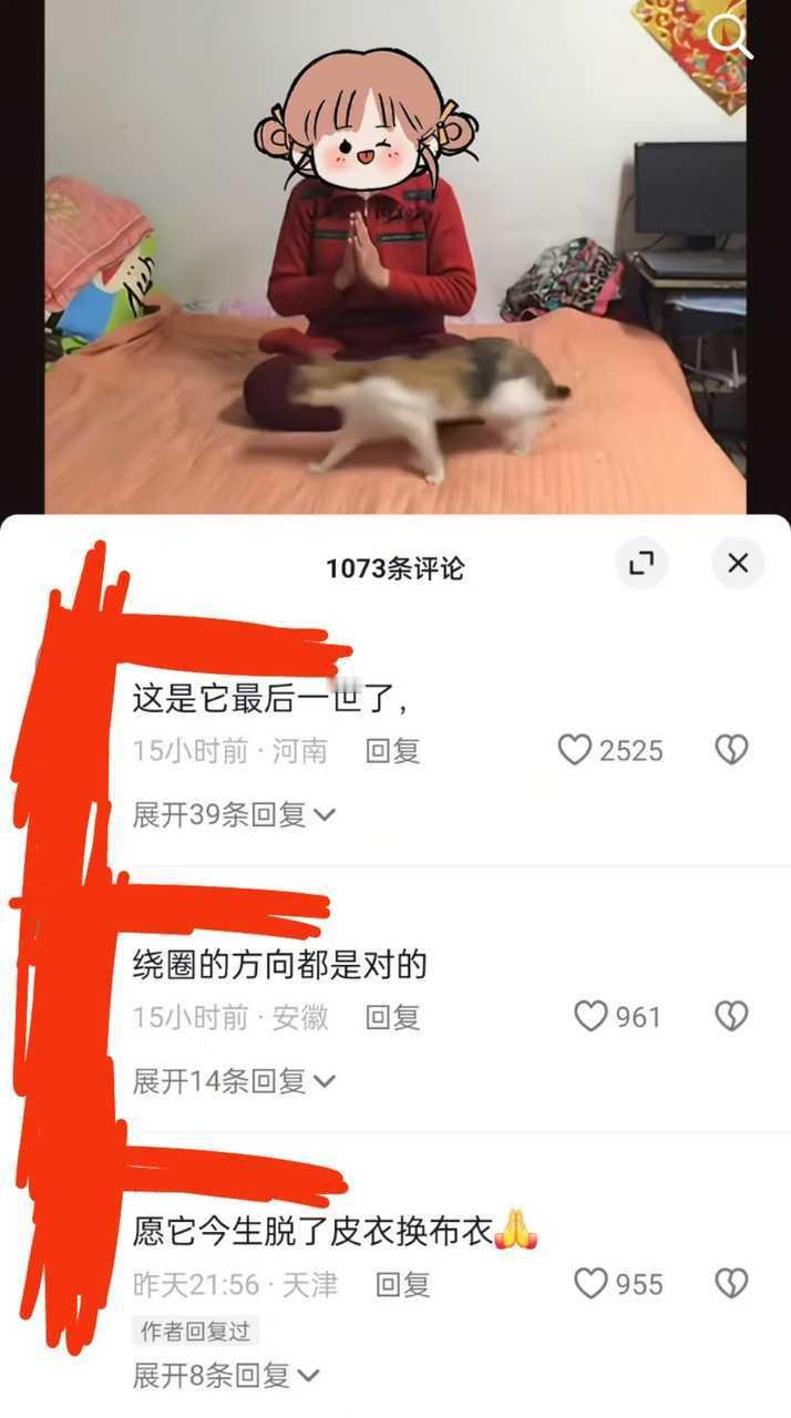 【痘印】你们逗人放过猫吧 