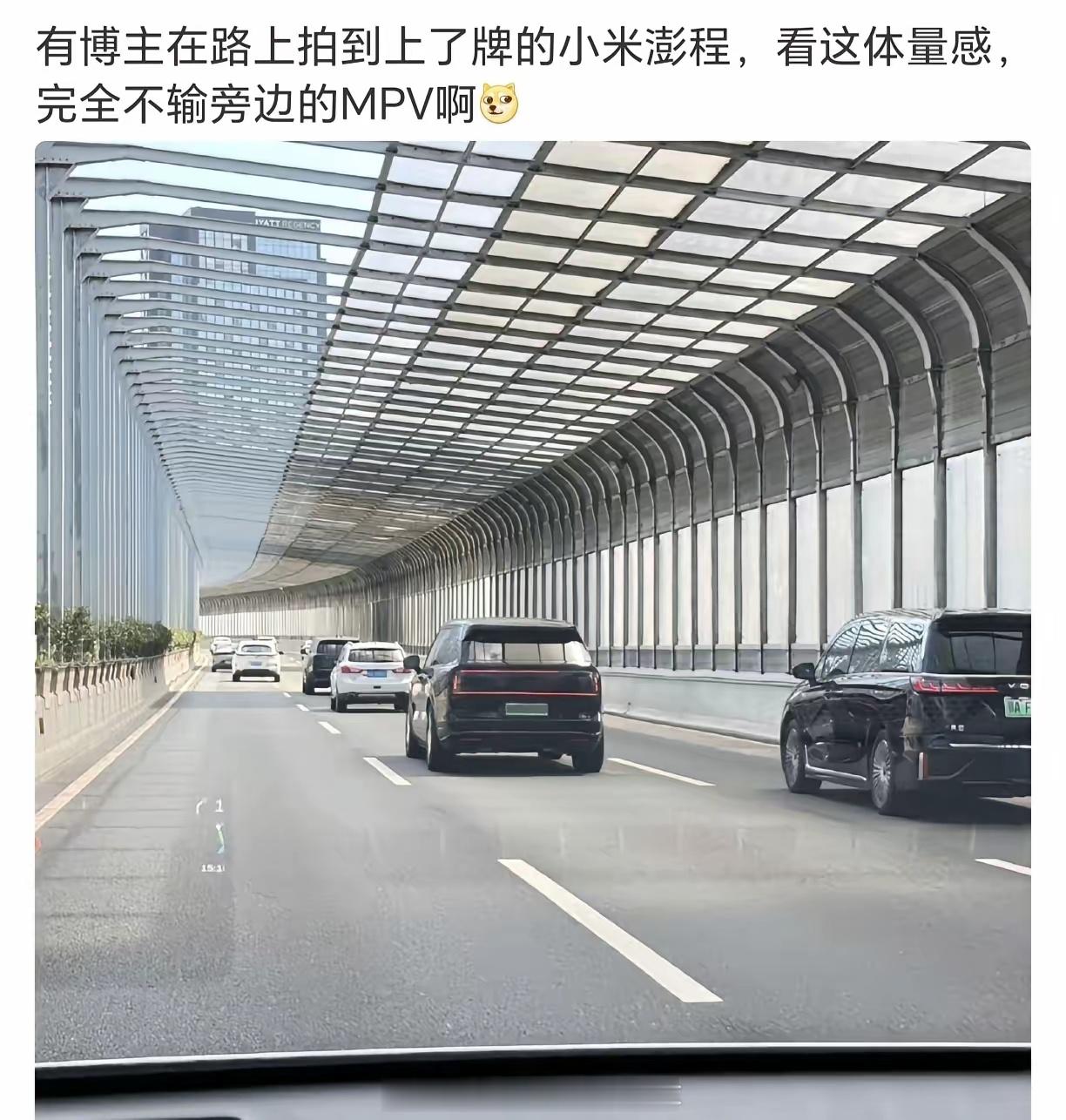 极氪9X：我谢谢你新能源大牛说