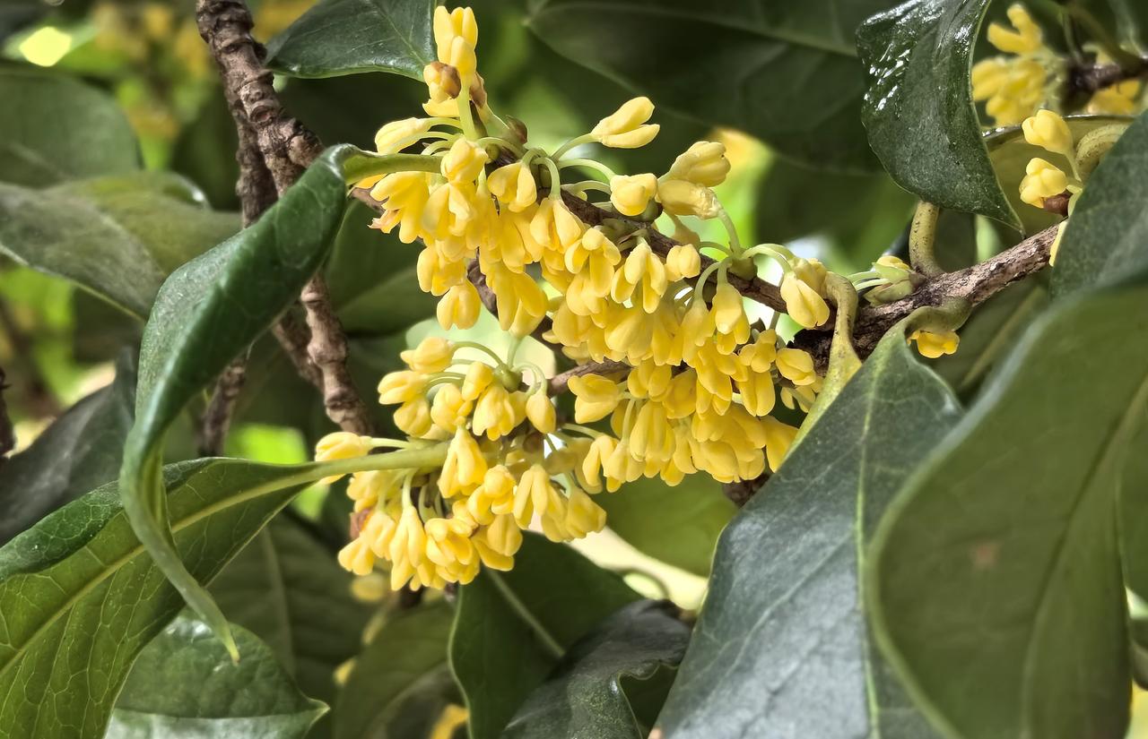 【热评】警校家联动 筑牢未成年人防骗铜墙
网警斩断侵害未成年人黑色产业链

近日