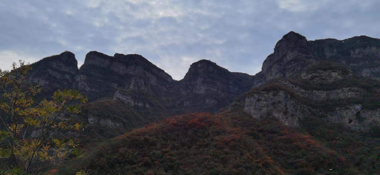 #秋日出游随手拍#
漫山遍野的红叶，为秋日的山峦增添了色彩，美不胜收，流连忘返…