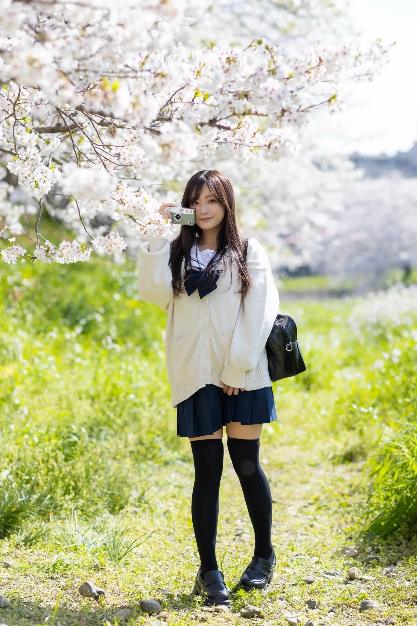 日系jk 樱花季jk 日系樱花风 jk制 樱花与制服
