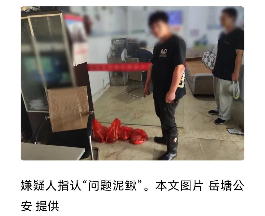 抓了生产商。。。[what]养殖户呢？

湖南湘潭销售“问题泥鳅”，药残超10倍