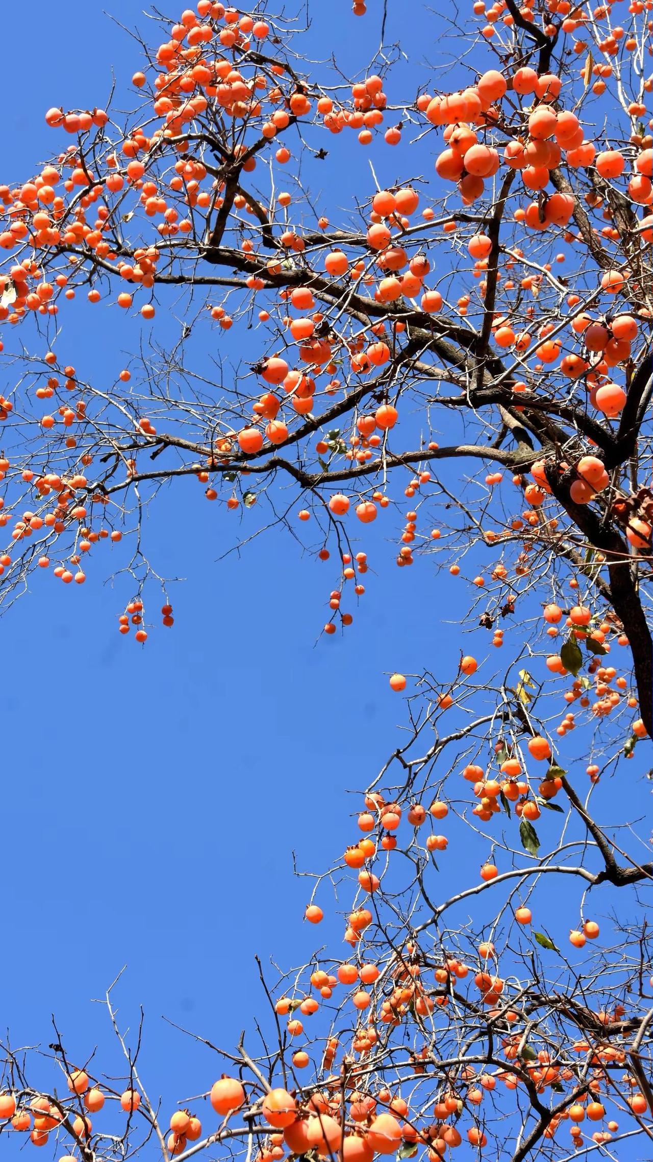 记录•太行一日
