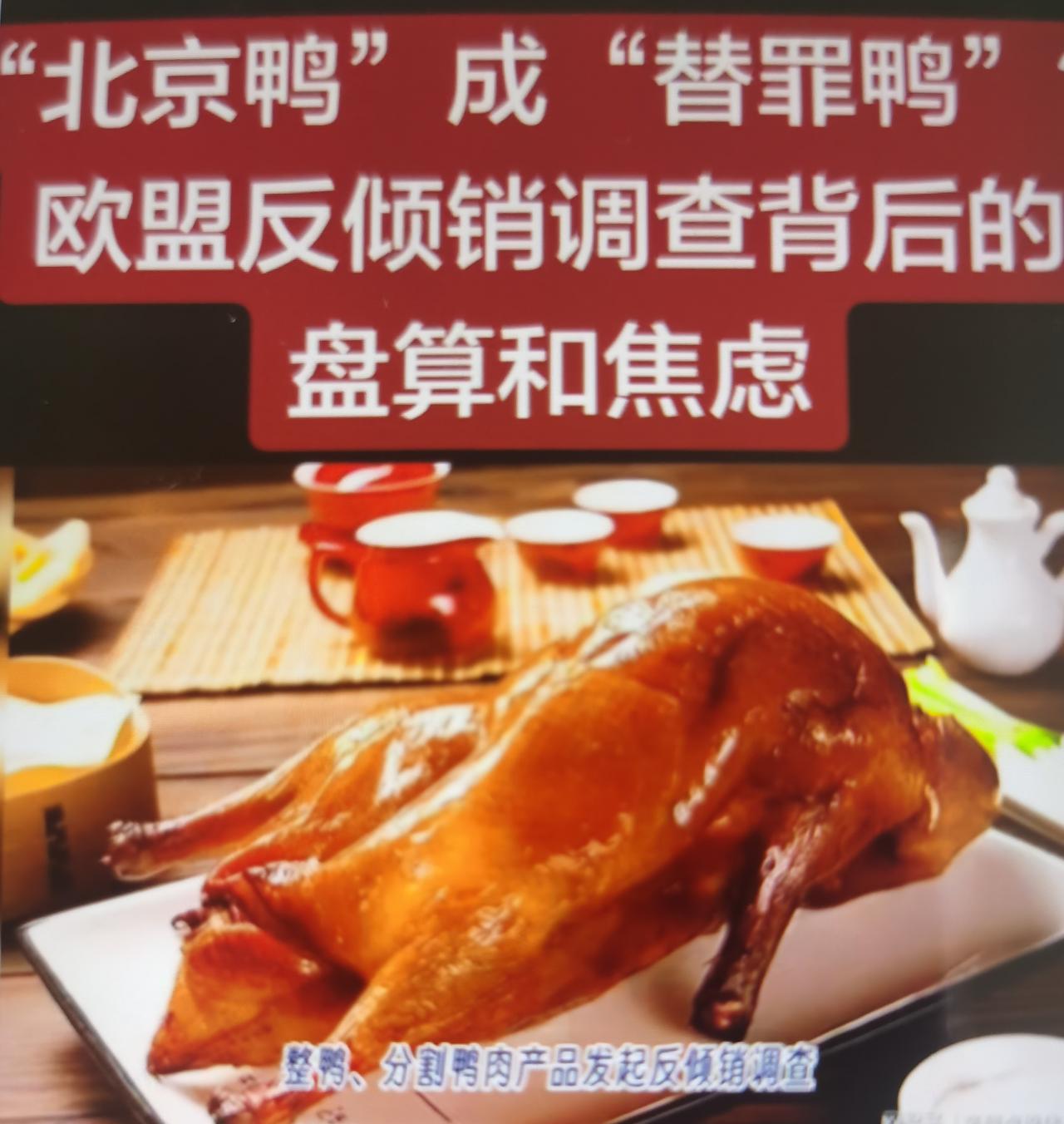舆论评价：欧盟反倾销调查中，“北京鸭”沦为一只“替罪鸭”怎么看？
一、事件核心事