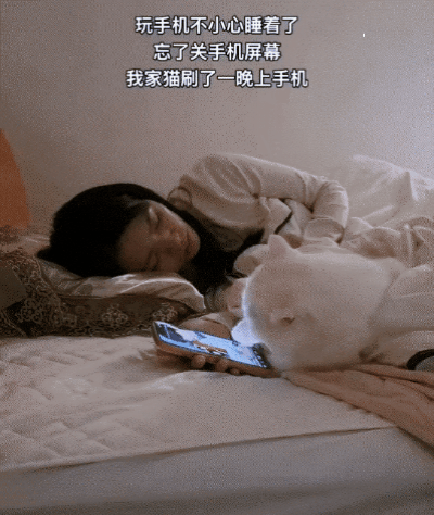 万万没有想到，广东一位女子睡前刷视频时睡着，醒来翻监控直接看呆了——她家猫咪正趴