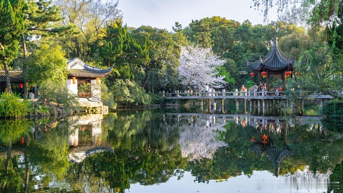 【连锁企业股权战略：控与不控背后的战略逻辑】连锁企业总部与分店间的股权安排，并非