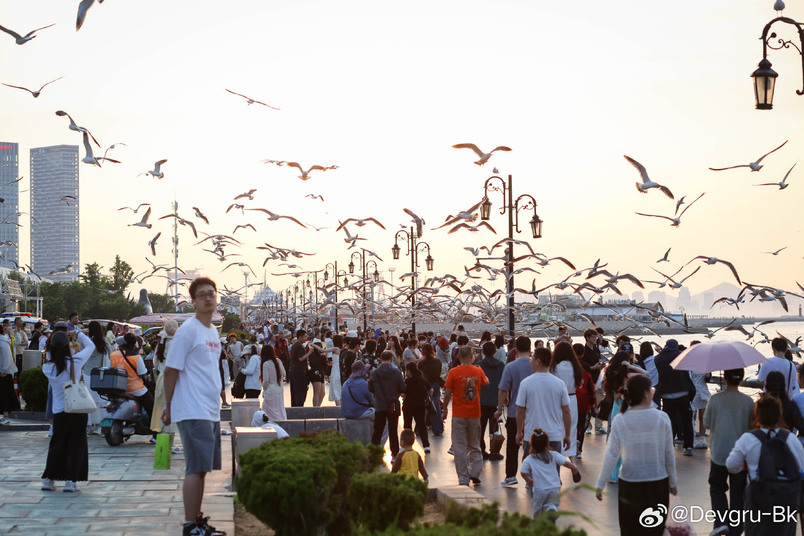 怀念大连的海风 