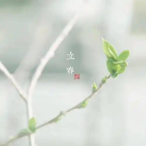 这才是女人最顶级的清醒，太霸气了
 
刷到一段女人的霸气独白，瞬间破防：我爱钱但