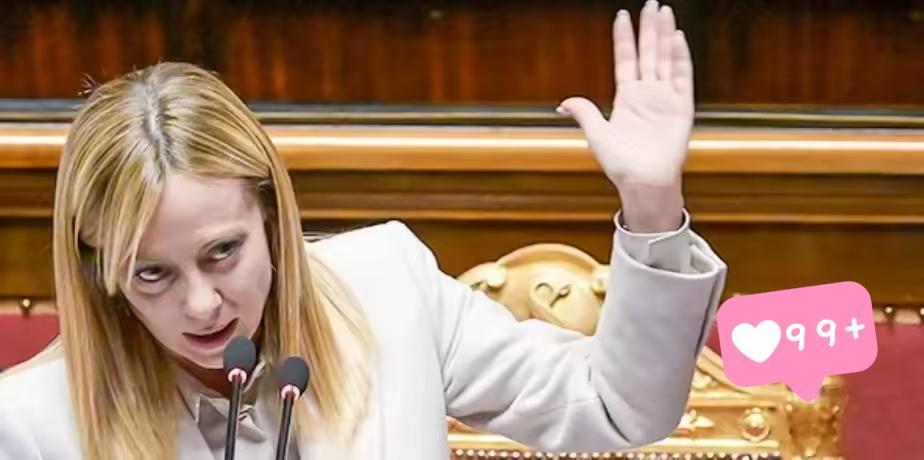 意大利政府发表声明了！

据意大利政府网站消息，当地时间1月3日，意大利政府就委