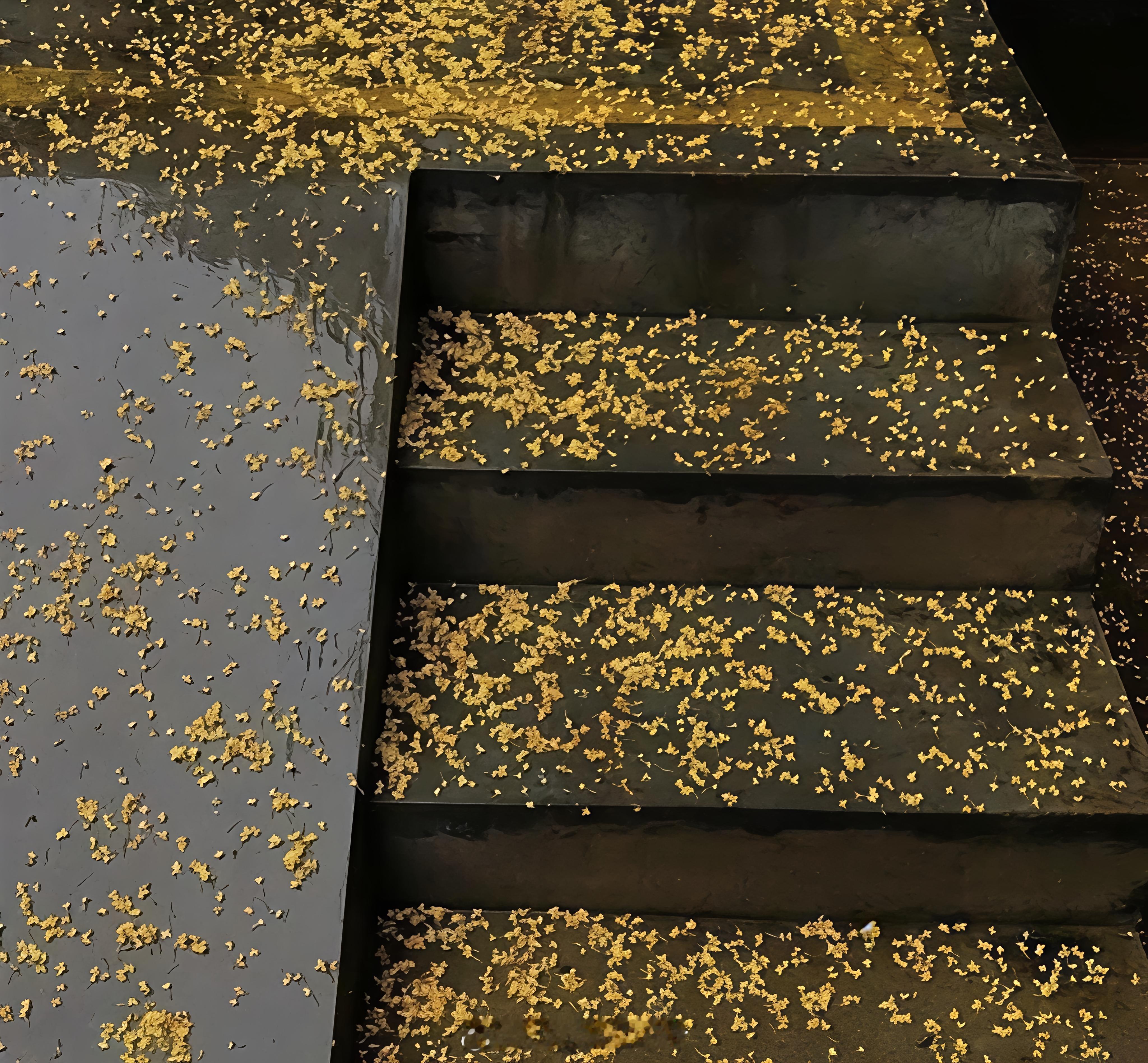 人心都是相互的 谁也不傻 谁也不笨 不被看重 那就看淡 我的态度就是你的态度. 