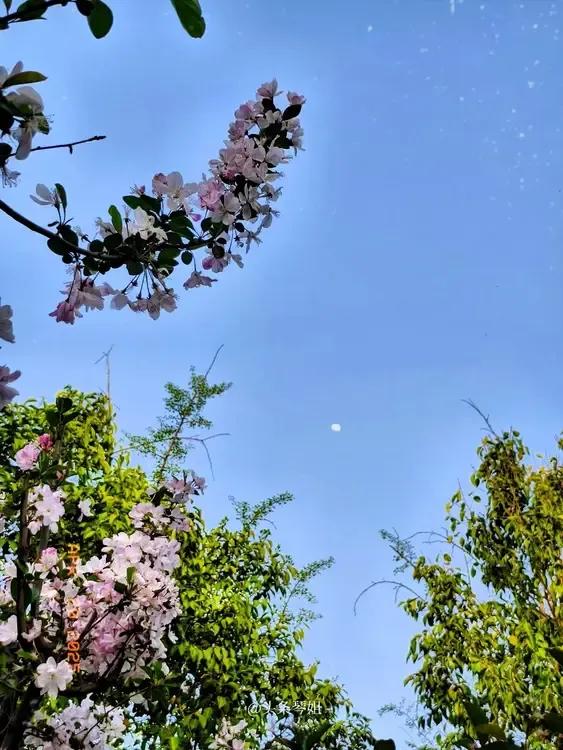 我的家乡天空总是美的不像话，清晨阳光透过淡薄的云雾映照在大地上。傍晚时分，晚霞将