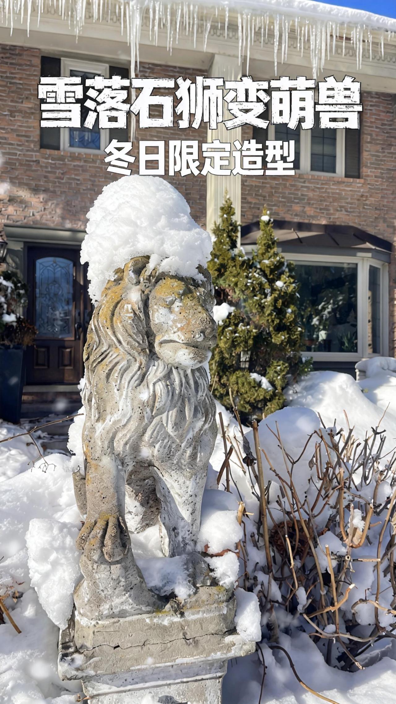 雪景 雪人 冬日 雕塑艺术 生活方式