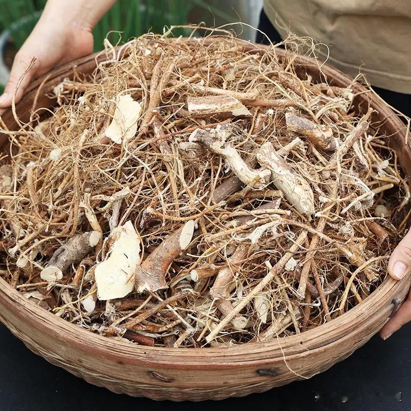 为什么广东人这么喜欢食用五指毛桃？北方人知道却并不多！
五指毛桃有一股令人着迷的