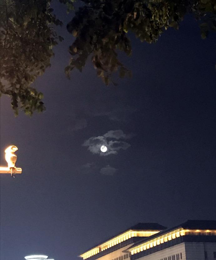 刚在长安街附近忙完事儿，正往公司赶呢，路过天坛东路时忍不住瞎琢磨：莎莎是不是快要